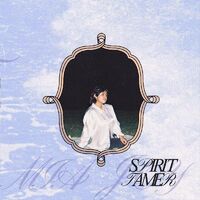Spirit Tamer