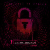 Entry Wounds