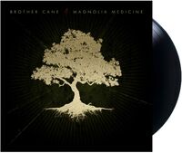 Magnolia Medicine