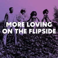 More Loving On The Flipside: Sweet Funk / Various
