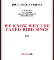 We Know Why The Caged Bird Sings