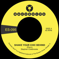 Shake Your Chic Behind / Stay Away From Music