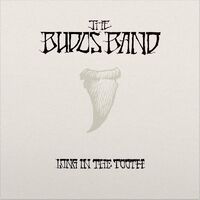 The Budos Band - Long In The Tooth [LP]