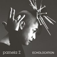 Echolocation