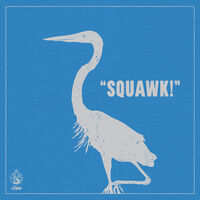 Squawk