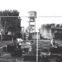 Royal Headache - Royal Headache [Clear Vinyl] [180 Gram]
