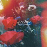 Prism Of Echoes