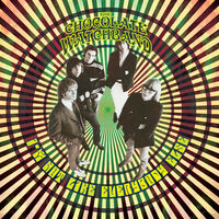 Chocolate Watchband - I'm Not Like Everybody Else [Colored Vinyl] (Gol) [Limited Edition]