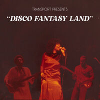 Disco Fantasy Land