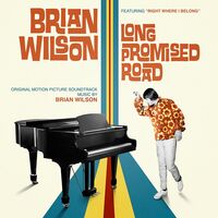 Brian Wilson - Brian Wilson: Long Promised Road