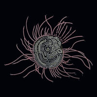 Bearings: Soundtracks for the Bardos'