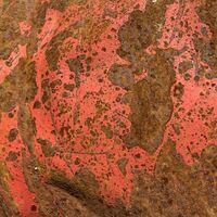 Stone