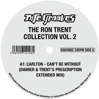 Nite Grooves: The Ron Trent Collection Vol. 2