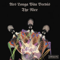Ars Longa Vita Brevis - X-Ray Marbled