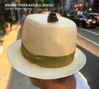 Threadgill Henry Zooid - Cut You Where You Was
