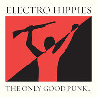 Only Good Punk (Is A Dead One)