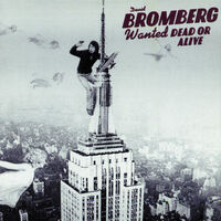 David Bromberg - Wanted Dead or Alive