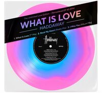 Haddaway - What Is Love (The Ultimate Love Edition)