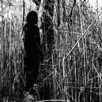 Today I Wrote Nothing (10 Year Anniversary) (Aniv)