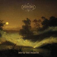 Netherbird - Into The Vast Uncharted [180 Gram] (Post)