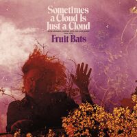 Fruit Bats - Sometimes a Cloud Is Just a Cloud: Slow Growers, Sleeper Hits and Lost Songs (2001–2021) [Indie Exclusive Deluxe 2LP]