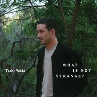What Is Not Strange