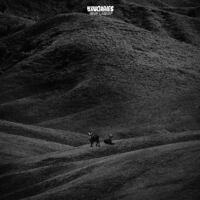 NxWorries - Why Lawd [Indie Exclusive BROWN WITH BLUE SPLATTER VINYL]