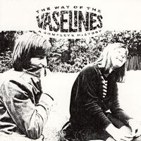 Way Of The Vaselines