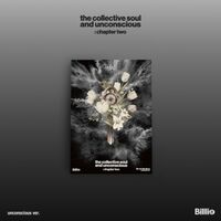 The Collective Soul And Unconscious: Chapter Two - Unconscious Version