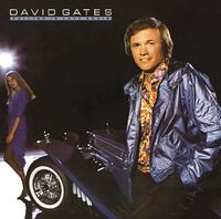 David Gates - Falling in Love Again
