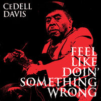 Feel Like Doin Something Wrong