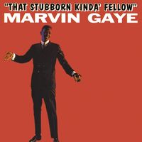 Marvin Gaye - That Stubborn Kinda Fellow
