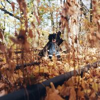 Golliwog Billy Woods - Golliwog