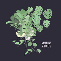 Vibes (Mod)