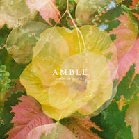 Amble - Hand Me Downs [RSD 2026]