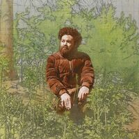 Ancient History - Fern Green Vinyl