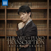Art Of Piano Transcription