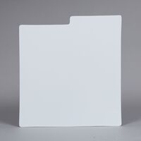 Bu Dlpp405Pk LP Dividers White 40 Gauge 5 Pack - Bags Unlimited DLPP405PK - 12 Inch LP Record Divider Cards - 12 1/8 X 13 1/8 inches - .040 mil Polystyrene - 5 Pack (White)