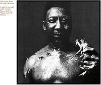 Muddy Waters - After The Rain