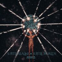 Subtle Realms Subtle Worlds