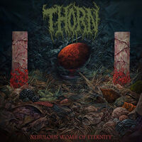 Nebulous Womb Of Eternity