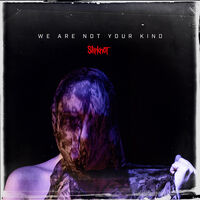 Slipknot - We Are Not Your Kind [LP]