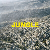 The Blaze - Jungle [LP]