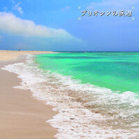 Beach Of The Pliocene