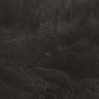 Transient