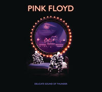 Pink Floyd - Delicate Sound Of Thunder: Remastered [2CD]