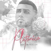 Platonico - Red & Black Marble