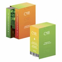 C418 - Minecraft Alpha Beta