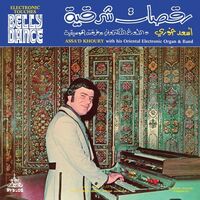 Electronic Touches Belly Dance