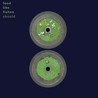 Feed Like Fishes - Green